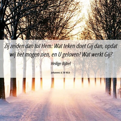 Picture 06 - Johannes 6:30 NLD - Zij zeiden dan tot Hem: Wat teken doet Gij dan, - Bible Verse Picture