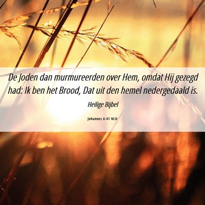 Picture 06 - Johannes 6:41 NLD - De Joden dan murmureerden over Hem, omdat Hij - Bible Verse Picture
