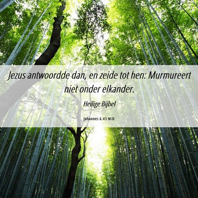 Picture 06 - Johannes 6:43 NLD - Jezus antwoordde dan, en zeide tot hen: - Bible Verse Picture