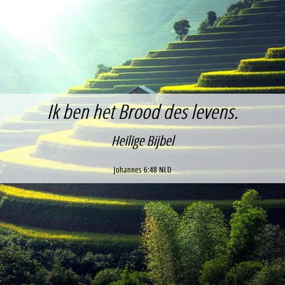 Picture 06 - Johannes 6:48 NLD - Ik ben het Brood des - Bible Verse Picture