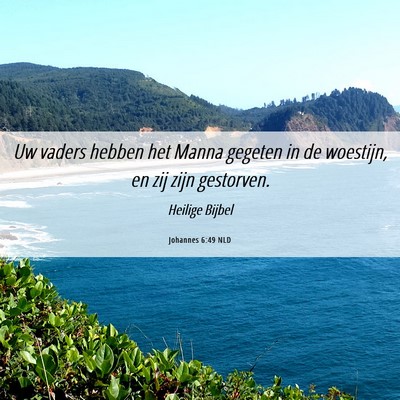 Picture 06 - Johannes 6:49 NLD - Uw vaders hebben het Manna gegeten in de - Bible Verse Picture