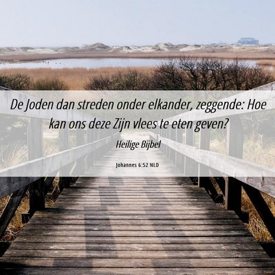 Picture 06 - Johannes 6:52 NLD - De Joden dan streden onder elkander, zeggende: - Bible Verse Picture