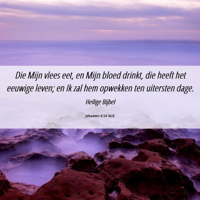 Picture 06 - Johannes 6:54 NLD - Die Mijn vlees eet, en Mijn bloed drinkt, die - Bible Verse Picture