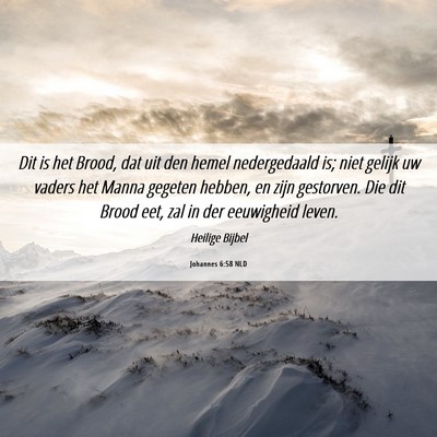 Picture 06 - Johannes 6:58 NLD - Dit is het Brood, dat uit den hemel nedergedaald - Bible Verse Picture