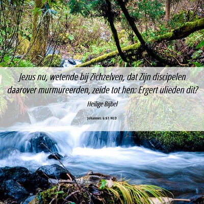 Picture 06 - Johannes 6:61 NLD - Jezus nu, wetende bij Zichzelven, dat Zijn - Bible Verse Picture