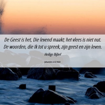 Picture 06 - Johannes 6:63 NLD - De Geest is het, Die levend maakt; het vlees is - Bible Verse Picture