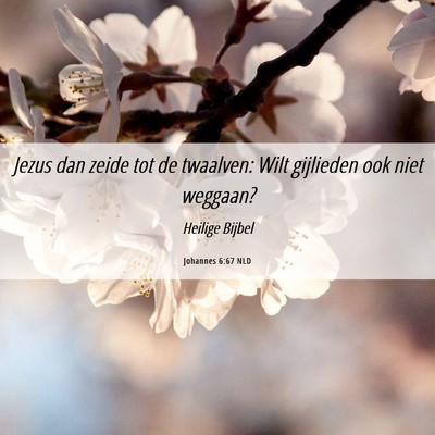 Picture 06 - Johannes 6:67 NLD - Jezus dan zeide tot de twaalven: Wilt gijlieden - Bible Verse Picture