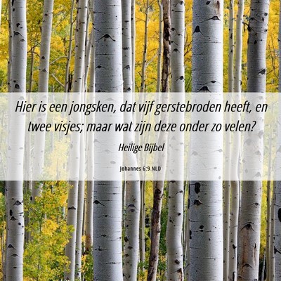 Picture 06 - Johannes 6:9 NLD - Hier is een jongsken, dat vijf gerstebroden - Bible Verse Picture