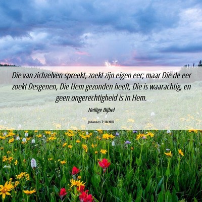 Picture 06 - Johannes 7:18 NLD - Die van zichzelven spreekt, zoekt zijn eigen eer; - Bible Verse Picture