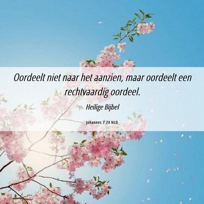 Picture 06 - Johannes 7:24 NLD - Oordeelt niet naar het aanzien, maar oordeelt een - Bible Verse Picture