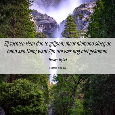 Picture 06 - Johannes 7:30 NLD - Zij zochten Hem dan te grijpen; maar niemand - Bible Verse Picture