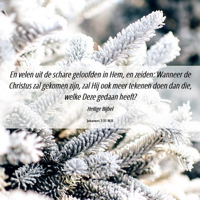 Picture 06 - Johannes 7:31 NLD - En velen uit de schare geloofden in Hem, en - Bible Verse Picture