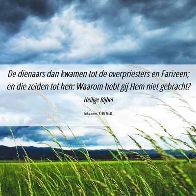Picture 06 - Johannes 7:45 NLD - De dienaars dan kwamen tot de overpriesters en - Bible Verse Picture
