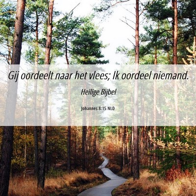 Picture 06 - Johannes 8:15 NLD - Gij oordeelt naar het vlees; Ik oordeel - Bible Verse Picture