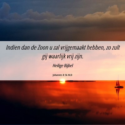Picture 06 - Johannes 8:36 NLD - Indien dan de Zoon u zal vrijgemaakt hebben, zo - Bible Verse Picture