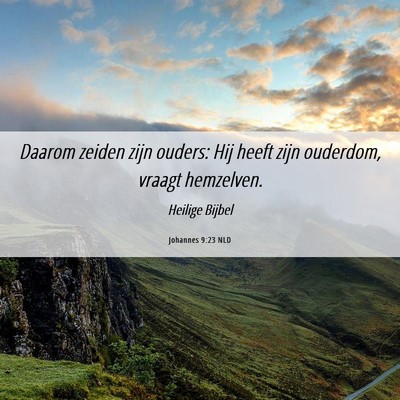 Picture 06 - Johannes 9:23 NLD - Daarom zeiden zijn ouders: Hij heeft zijn - Bible Verse Picture