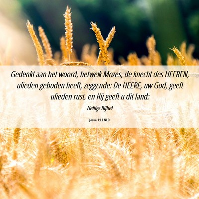 Picture 06 - Jozua 1:13 NLD - Gedenkt aan het woord, hetwelk Mozes, de knecht - Bible Verse Picture