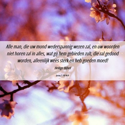 Picture 06 - Jozua 1:18 NLD - Alle man, die uw mond wederspannig wezen zal, en - Bible Verse Picture