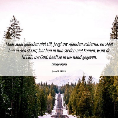 Picture 06 - Jozua 10:19 NLD - Maar staat gijlieden niet stil, jaagt uw vijanden - Bible Verse Picture