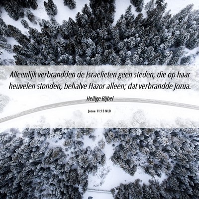 Picture 06 - Jozua 11:13 NLD - Alleenlijk verbrandden de Israelieten geen - Bible Verse Picture