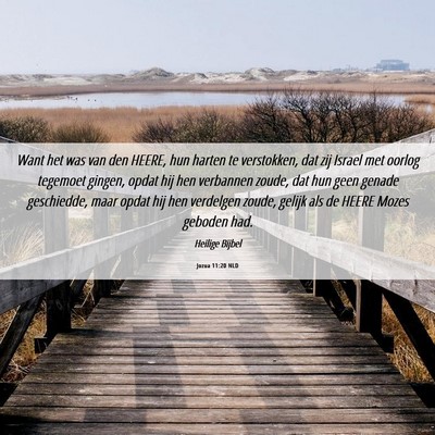 Picture 06 - Jozua 11:20 NLD - Want het was van den HEERE, hun harten te - Bible Verse Picture
