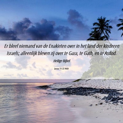 Picture 06 - Jozua 11:22 NLD - Er bleef niemand van de Enakieten over in het - Bible Verse Picture
