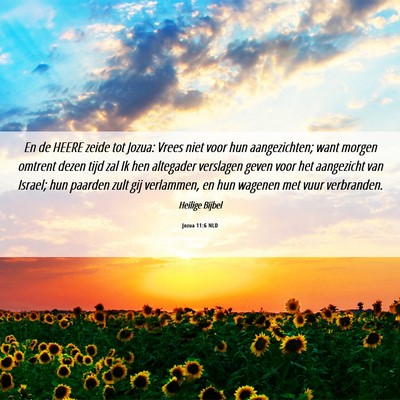 Picture 06 - Jozua 11:6 NLD - En de HEERE zeide tot Jozua: Vrees niet voor hun - Bible Verse Picture