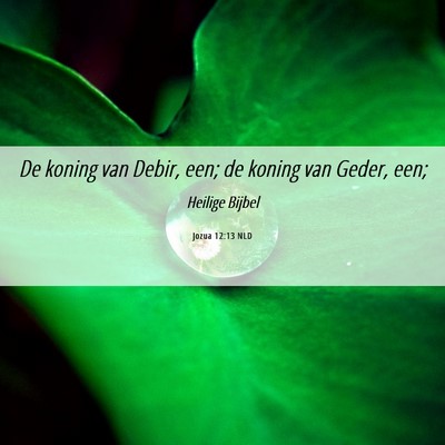 Picture 06 - Jozua 12:13 NLD - De koning van Debir, een; de koning van Geder, - Bible Verse Picture