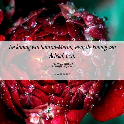 Picture 06 - Jozua 12:20 NLD - De koning van Simron-Meron, een; de koning van - Bible Verse Picture