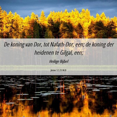 Picture 06 - Jozua 12:23 NLD - De koning van Dor, tot Nafath-Dor, een; de koning - Bible Verse Picture