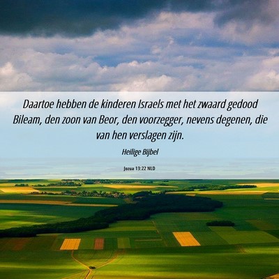 Picture 06 - Jozua 13:22 NLD - Daartoe hebben de kinderen Israels met het zwaard - Bible Verse Picture