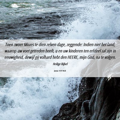Picture 06 - Jozua 14:9 NLD - Toen zwoer Mozes te dien zelven dage, zeggende: - Bible Verse Picture