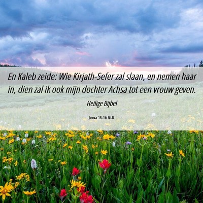 Picture 06 - Jozua 15:16 NLD - En Kaleb zeide: Wie Kirjath-Sefer zal slaan, en - Bible Verse Picture