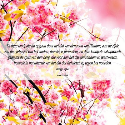 Picture 06 - Jozua 15:8 NLD - En deze landpale zal opgaan door het dal van den - Bible Verse Picture