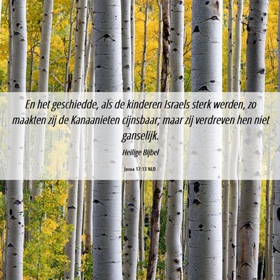 Picture 06 - Jozua 17:13 NLD - En het geschiedde, als de kinderen Israels sterk - Bible Verse Picture
