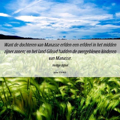 Picture 06 - Jozua 17:6 NLD - Want de dochteren van Manasse erfden een erfdeel - Bible Verse Picture