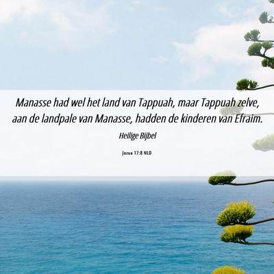 Picture 06 - Jozua 17:8 NLD - Manasse had wel het land van Tappuah, maar - Bible Verse Picture