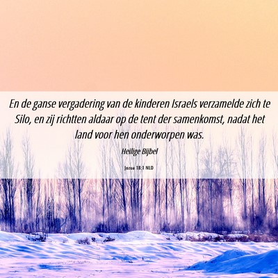 Picture 06 - Jozua 18:1 NLD - En de ganse vergadering van de kinderen Israels - Bible Verse Picture