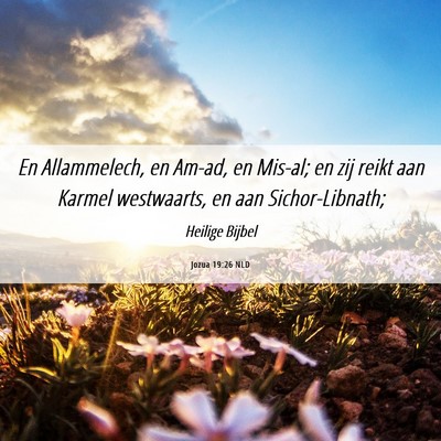 Picture 06 - Jozua 19:26 NLD - En Allammelech, en Am-ad, en Mis-al; en zij reikt - Bible Verse Picture