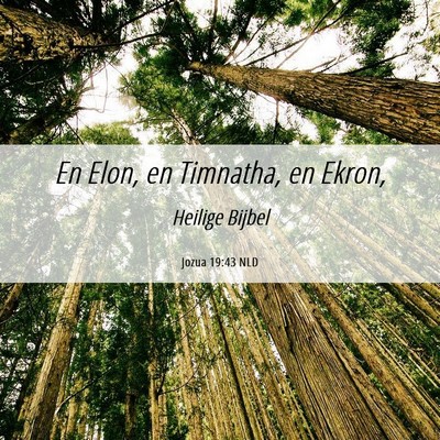Picture 06 - Jozua 19:43 NLD - En Elon, en Timnatha, en - Bible Verse Picture