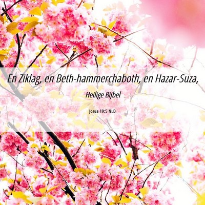 Picture 06 - Jozua 19:5 NLD - En Ziklag, en Beth-hammerchaboth, en - Bible Verse Picture