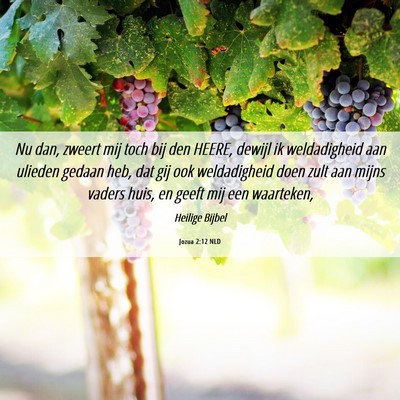Picture 06 - Jozua 2:12 NLD - Nu dan, zweert mij toch bij den HEERE, dewijl ik - Bible Verse Picture