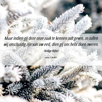 Picture 06 - Jozua 2:20 NLD - Maar indien gij deze onze zaak te kennen zult - Bible Verse Picture
