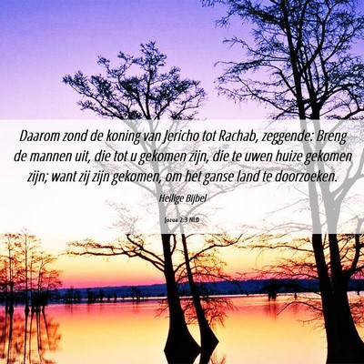Picture 06 - Jozua 2:3 NLD - Daarom zond de koning van Jericho tot Rachab, - Bible Verse Picture