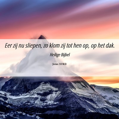 Picture 06 - Jozua 2:8 NLD - Eer zij nu sliepen, zo klom zij tot hen op, op - Bible Verse Picture