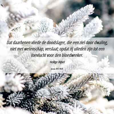 Picture 06 - Jozua 20:3 NLD - Dat daarhenen vliede de doodslager, die een ziel - Bible Verse Picture