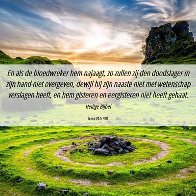 Picture 06 - Jozua 20:5 NLD - En als de bloedwreker hem najaagt, zo zullen zij - Bible Verse Picture