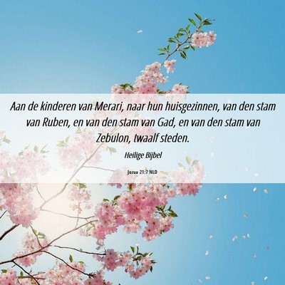 Picture 06 - Jozua 21:7 NLD - Aan de kinderen van Merari, naar hun - Bible Verse Picture