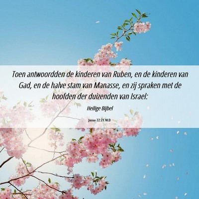 Picture 06 - Jozua 22:21 NLD - Toen antwoordden de kinderen van Ruben, en de - Bible Verse Picture