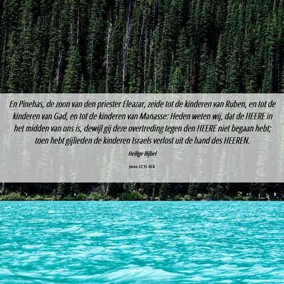Picture 06 - Jozua 22:31 NLD - En Pinehas, de zoon van den priester Eleazar, - Bible Verse Picture